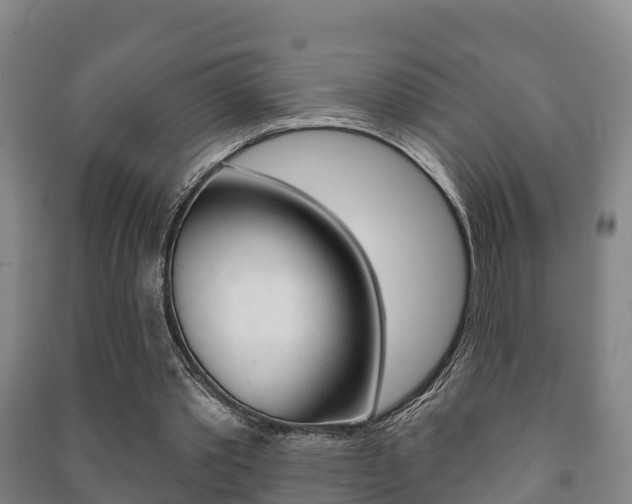 X0000091460389200708161112
