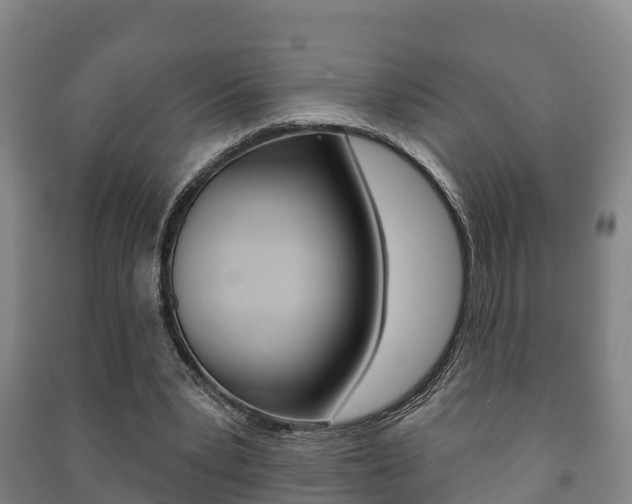 X0000091460391200708161111