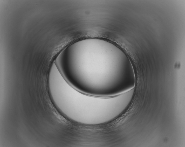 X0000091460393200708161111