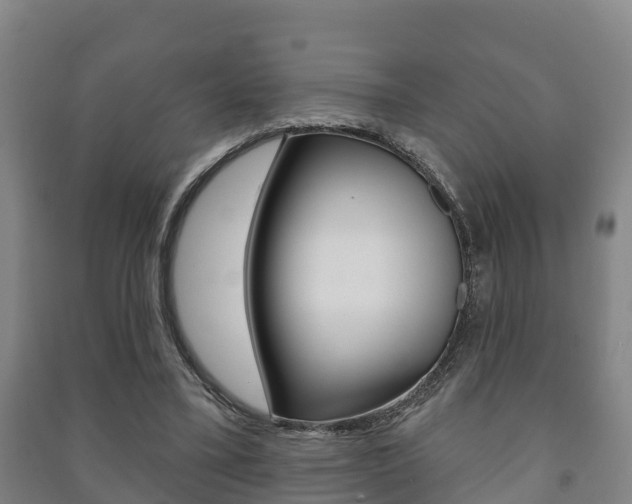 X0000091460395200708161111