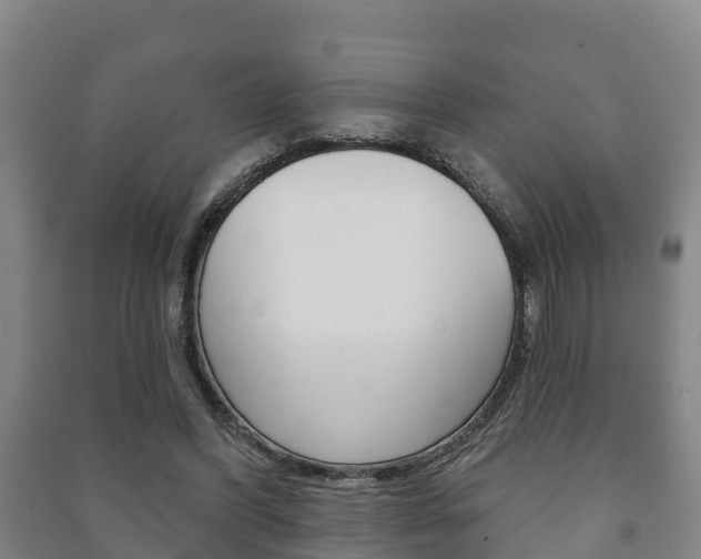X0000091460396200708161111