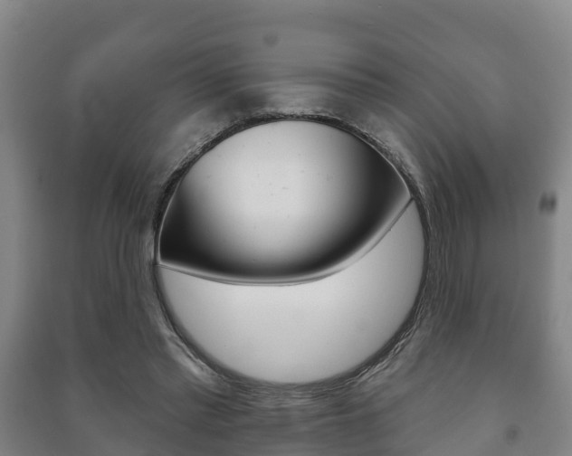 X0000091460397200708161111