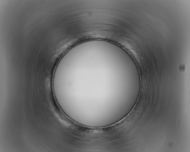 X0000091460398200708161111
