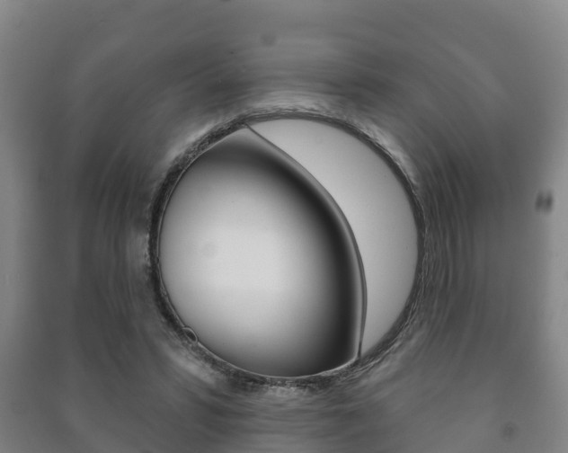 X0000091460399200708161111