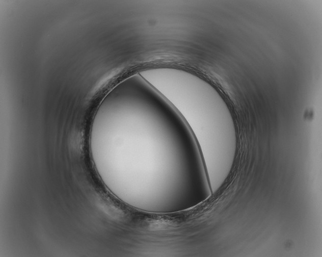 X0000091460400200708161111