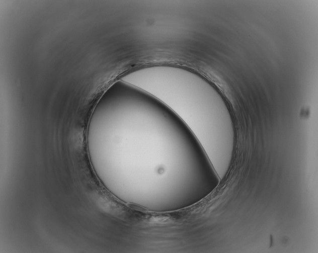 X0000091460401200708161111