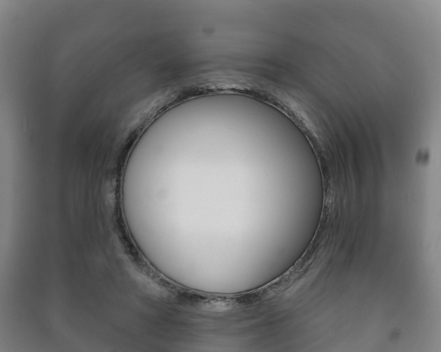 X0000091460402200708161111