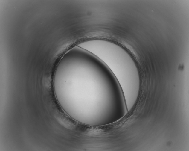 X0000091460403200708161111