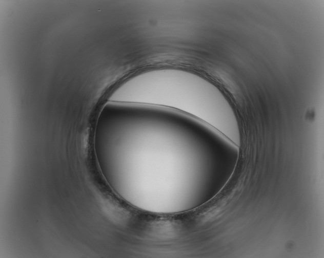 X0000091460404200708161111