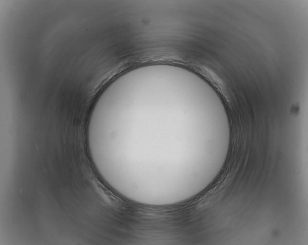 X0000091460405200708161111