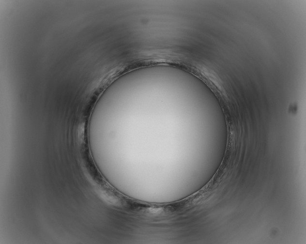 X0000091460406200708161111
