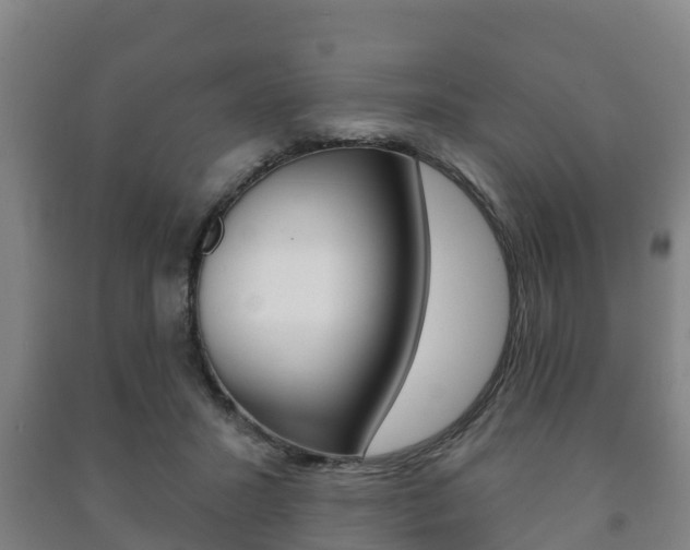 X0000091460407200708161111