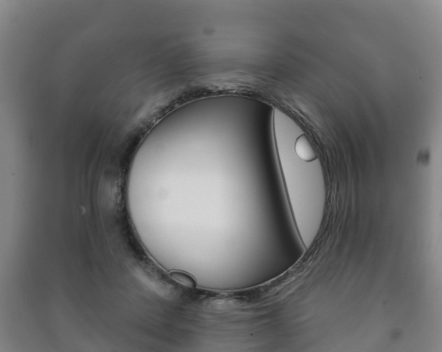 X0000091460408200708161111