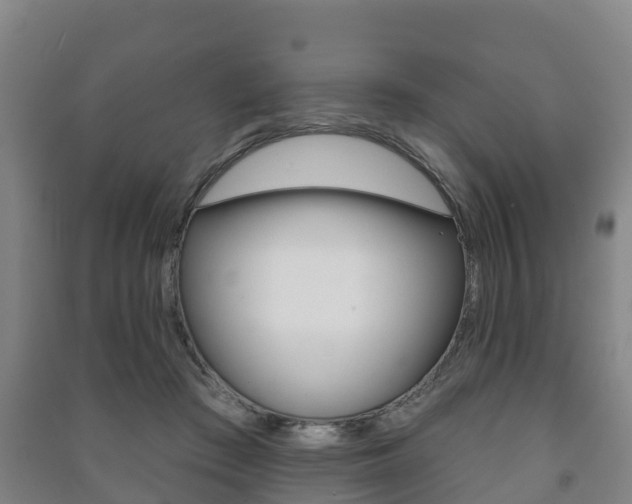 X0000091460409200708161111