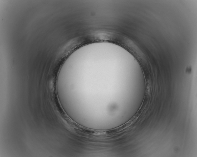 X0000091460410200708161111
