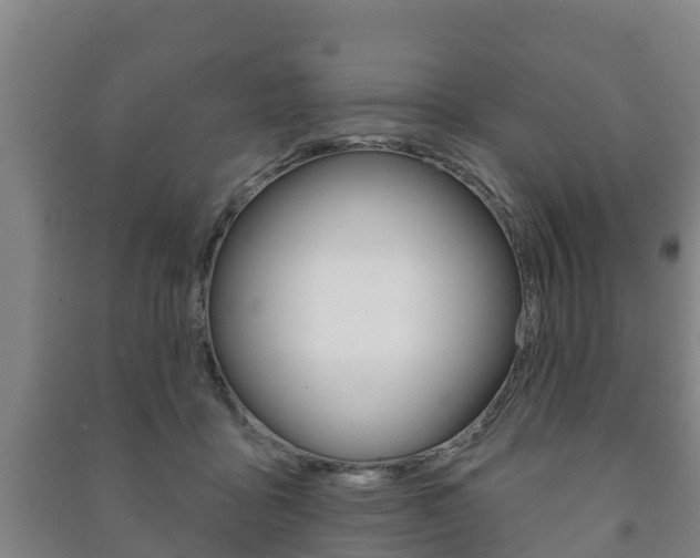 X0000091460411200708161111