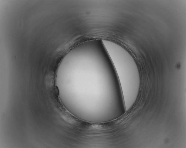X0000091460413200708161111