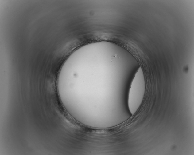 X0000091460414200708161111