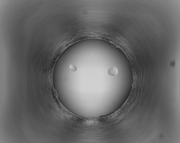 X0000091460415200708161111