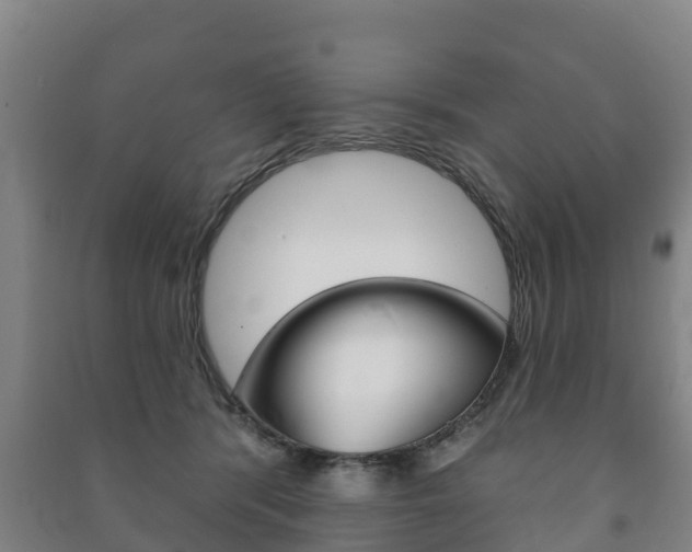 X0000091460416200708161111