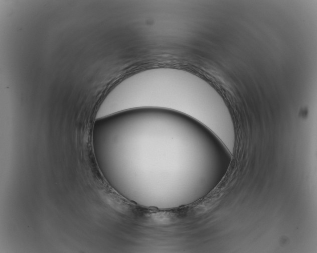 X0000091460417200708161111