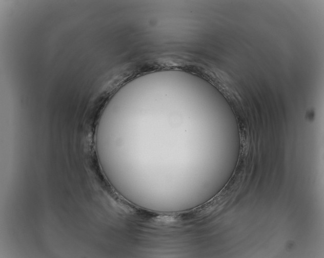 X0000091460418200708161111