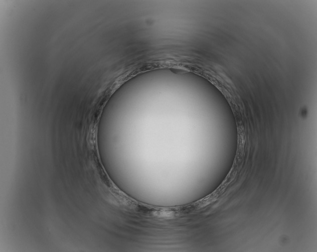 X0000091460419200708161111