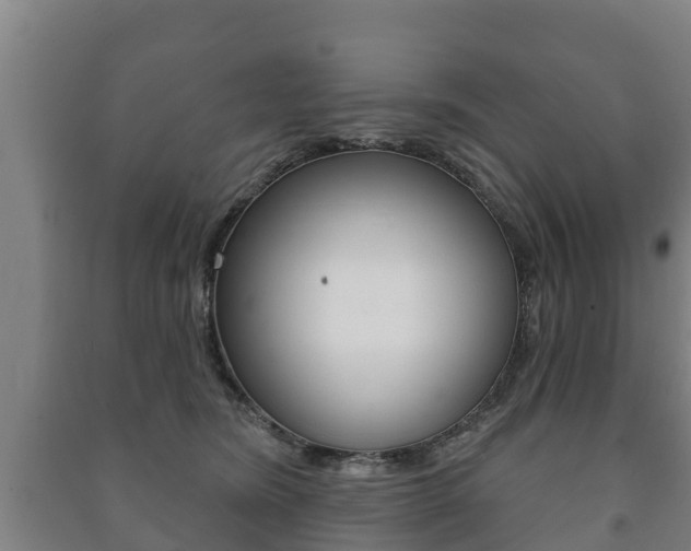 X0000091460420200708161111