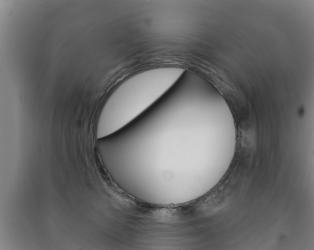 X0000091460422200708161111
