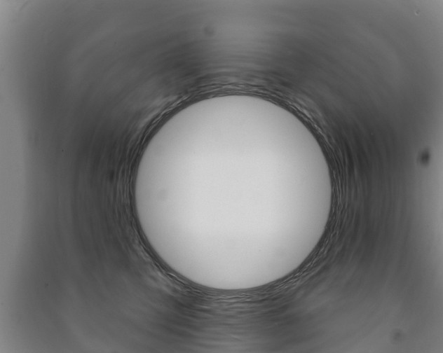 X0000091460423200708161111