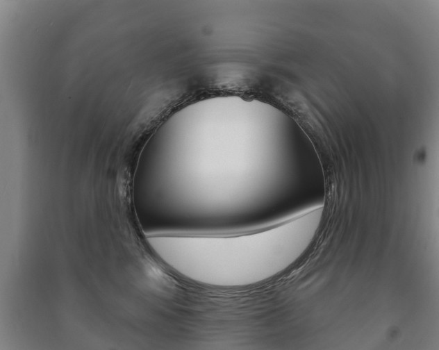 X0000091460424200708161111