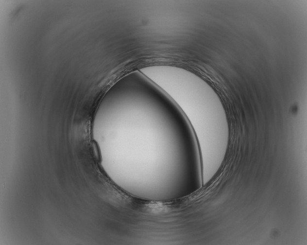 X0000091460425200708161111