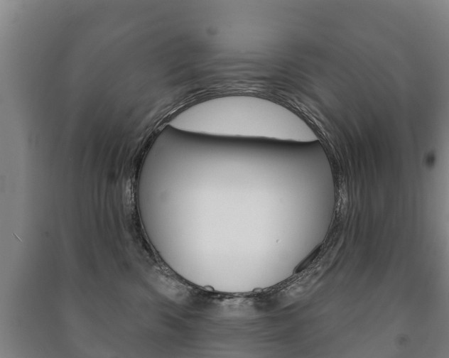 X0000091460426200708161111