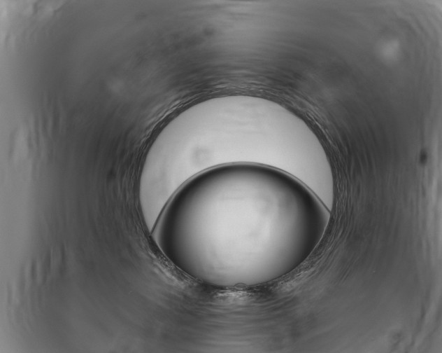 X0000091460428200708161111