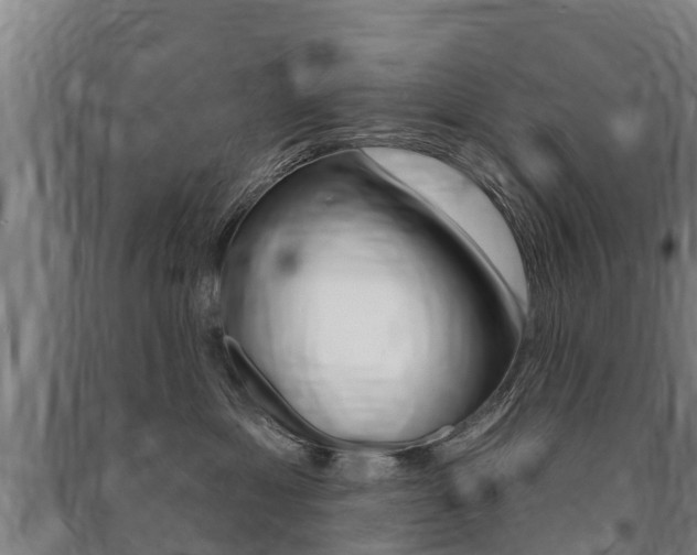 X0000091460429200708161111