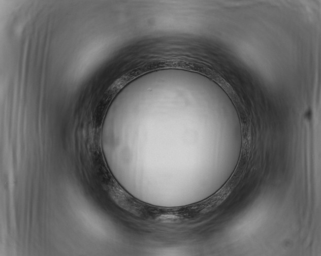 X0000091460430200708161111