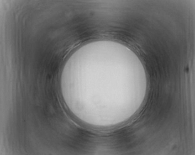X0000091460431200708161111