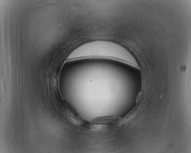 X0000091460432200708161111
