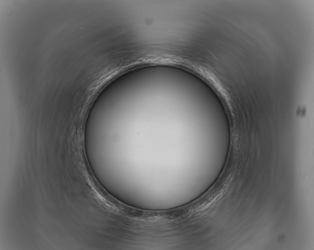 X0000091460433200708161110