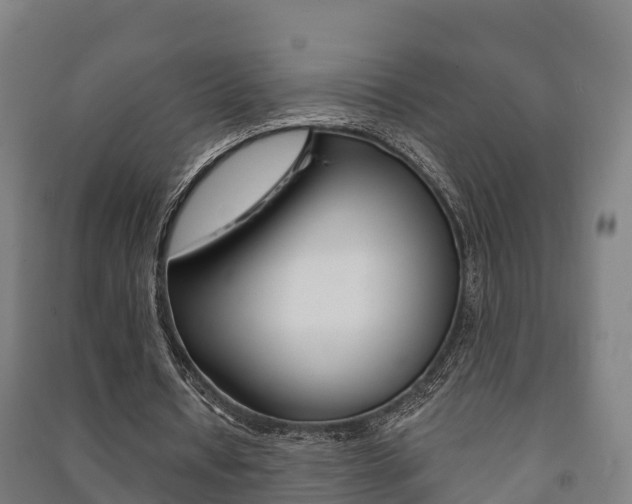 X0000091460434200708161110
