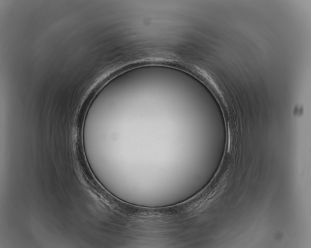 X0000091460435200708161110
