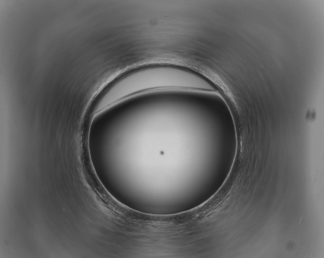 X0000091460436200708161110