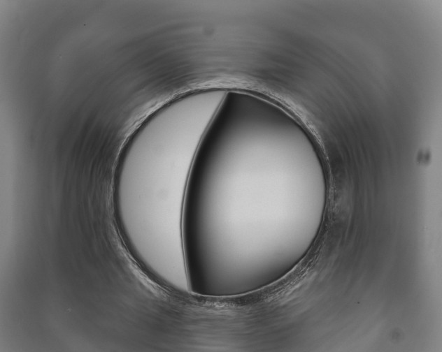 X0000091460437200708161110