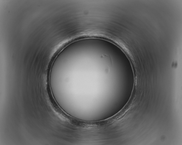 X0000091460438200708161110