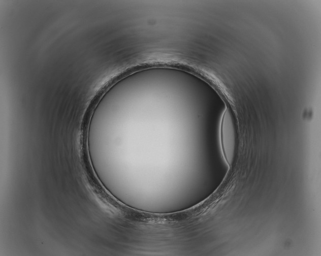 X0000091460439200708161110