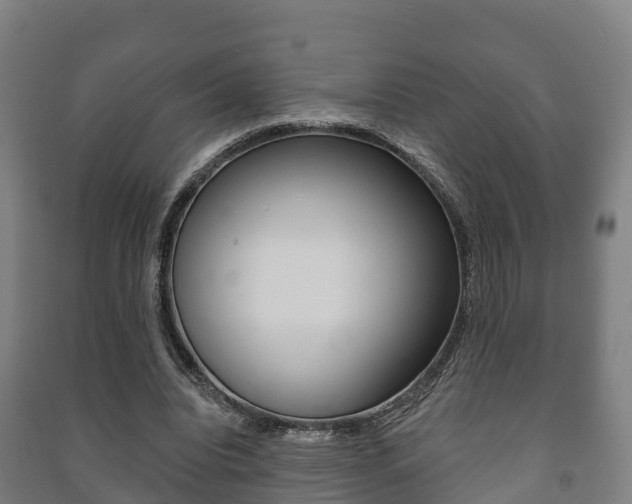 X0000091460440200708161110