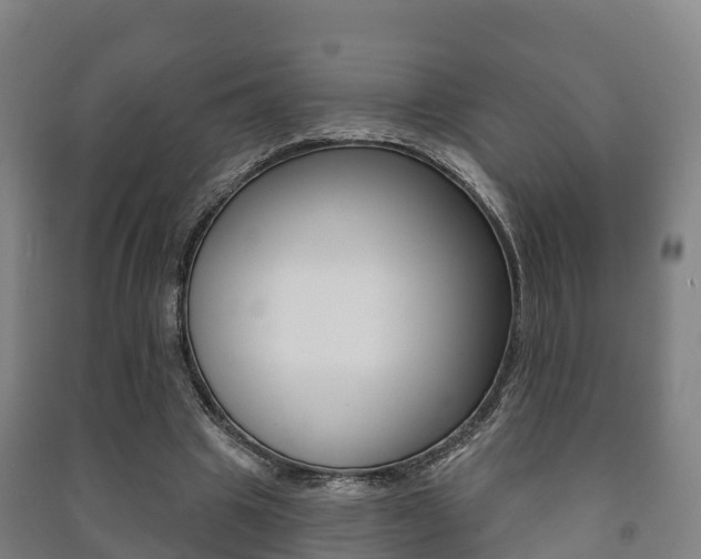X0000091460441200708161110