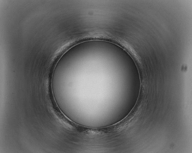 X0000091460442200708161110