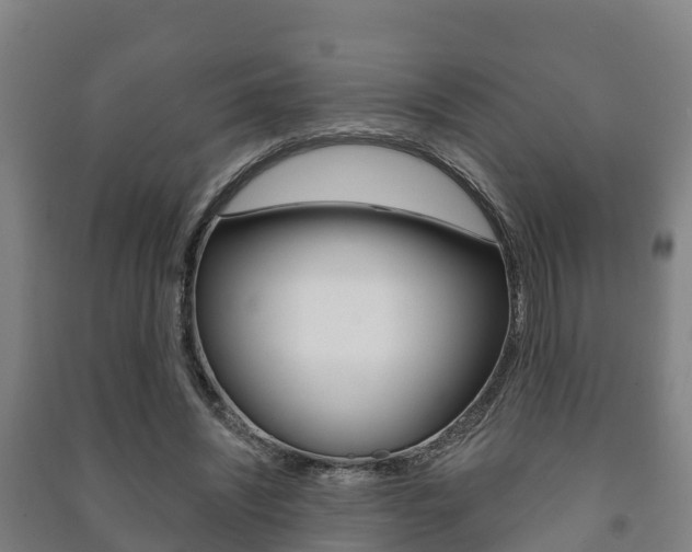 X0000091460444200708161110