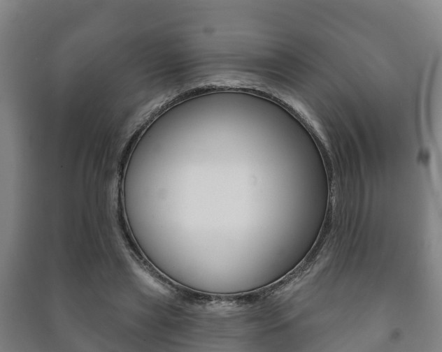 X0000091460445200708161110